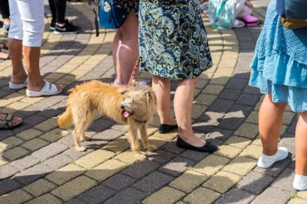 Drugi dzień Wiślaczka Country 2021 w Wiśle